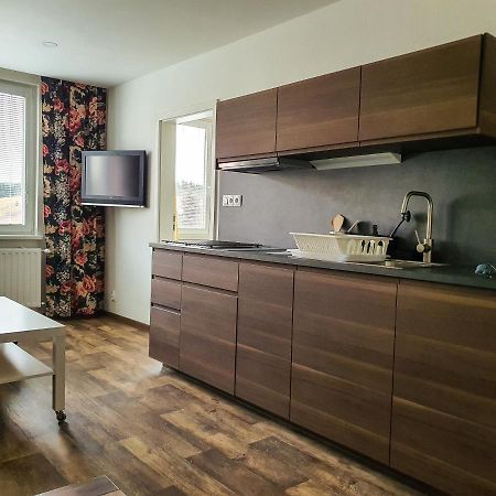 Apartmany Schmiedeberg U Klinovce Kovářská Exterior foto
